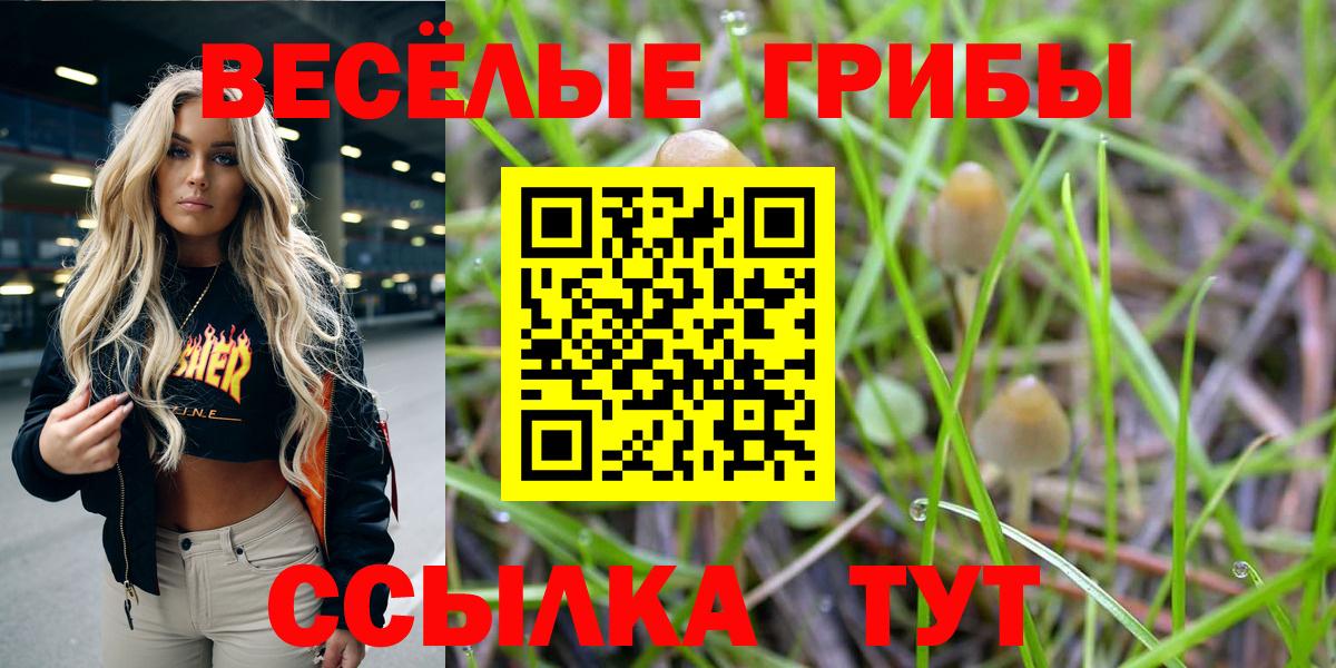 Майский  Галлюциногенные грибы Psilocybine cubensis  Вход с VPN 