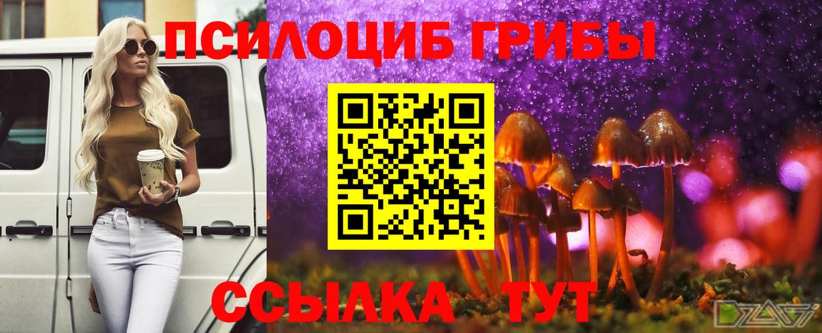 Галлюциногенные грибы Cubensis Майский